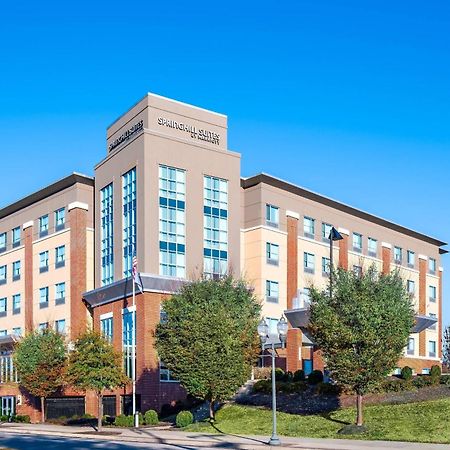 Springhill Suites By Marriott Роанок Екстер'єр фото