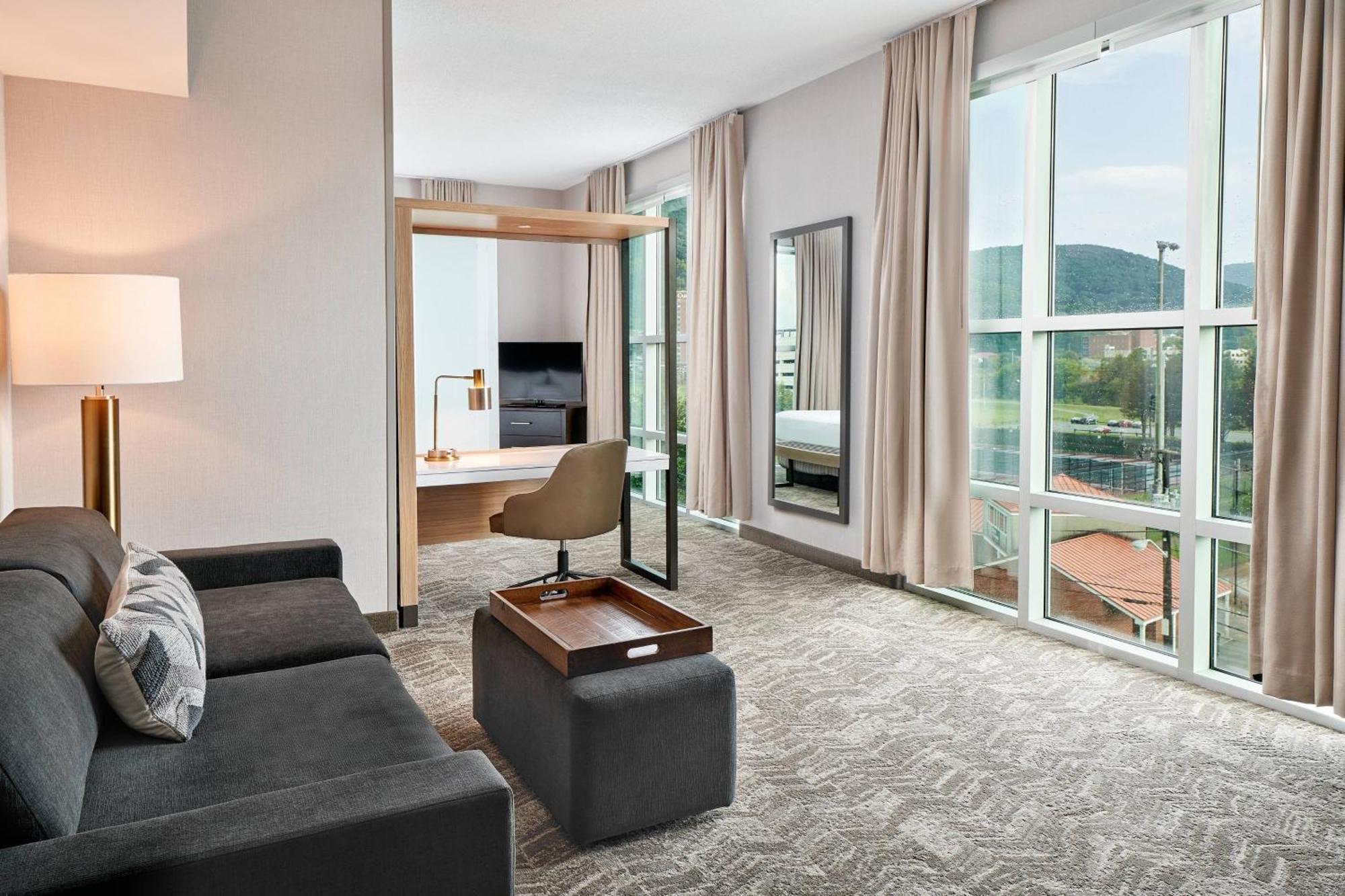 Springhill Suites By Marriott Роанок Екстер'єр фото