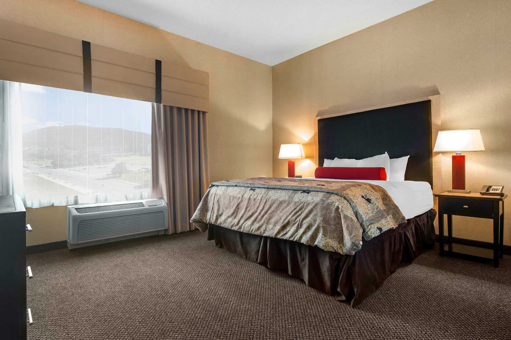 Springhill Suites By Marriott Роанок Номер фото