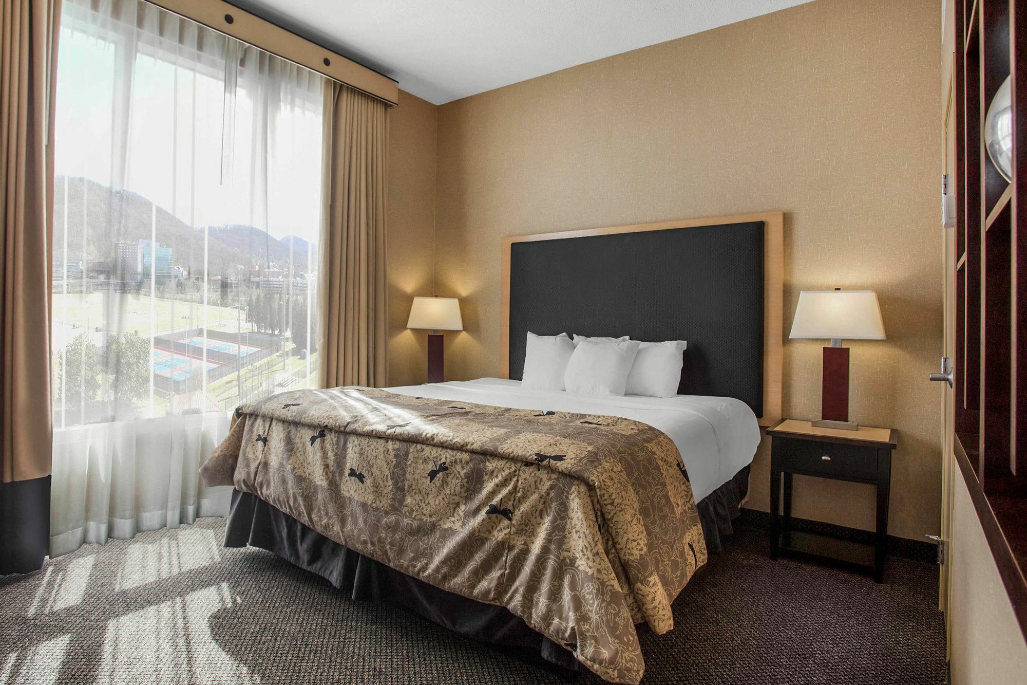 Springhill Suites By Marriott Роанок Екстер'єр фото
