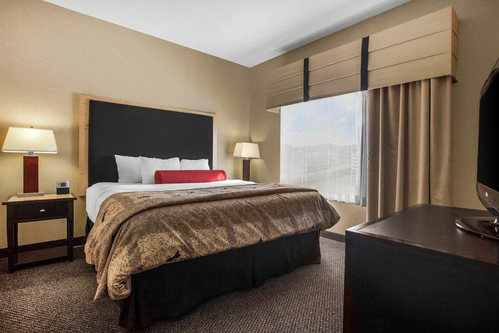 Springhill Suites By Marriott Роанок Екстер'єр фото